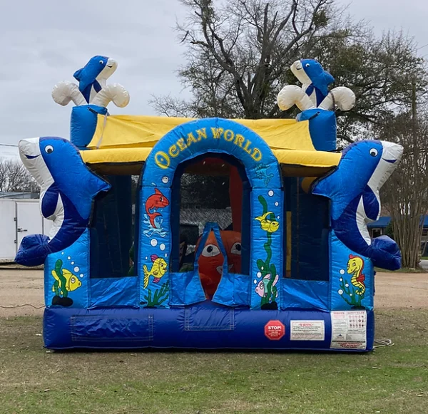 Ocean World BABY Playground  (18x18x15H)