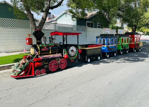 Electric Train all day rental